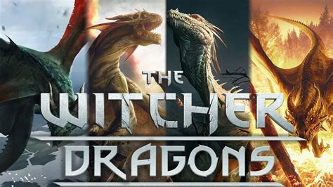 dragons in witcher 3